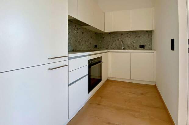Wohnung mieten in 4600 Wels (Bild 1)