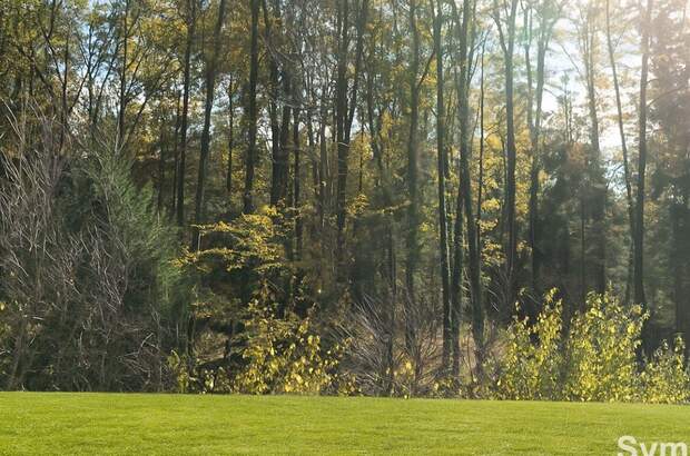 Grundstück kaufen in 8144 Haselsdorf