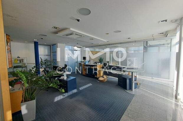 Gewerbeobjekt mieten in 4481 Asten (Bild 5)