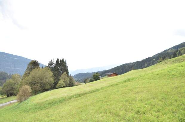 Gewerbeobjekt kaufen in 9543 Arriach (Bild 4)