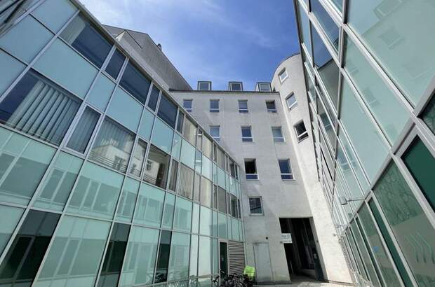 Gewerbeobjekt mieten in 1190 Wien (Bild 3)