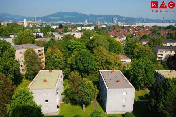 Terrassenwohnung mieten in 4020 Linz (Bild 2)
