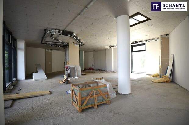 Einzelhandel mieten in 1210 Wien (Bild 5)