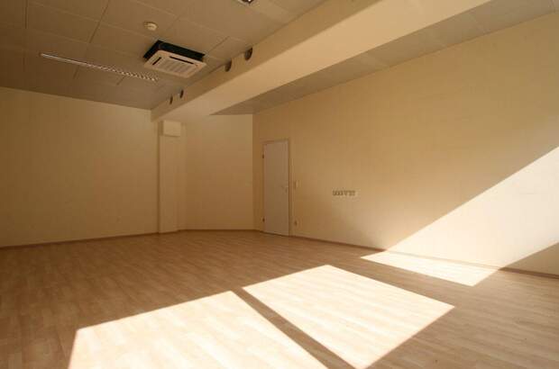 Gewerbeobjekt mieten in 5300 Hallwang (Bild 3)