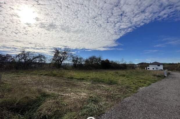 Grundstück kaufen in 3252 Petzenkirchen (Bild 3)