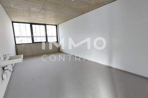 Gewerbeobjekt mieten in 1230 Wien