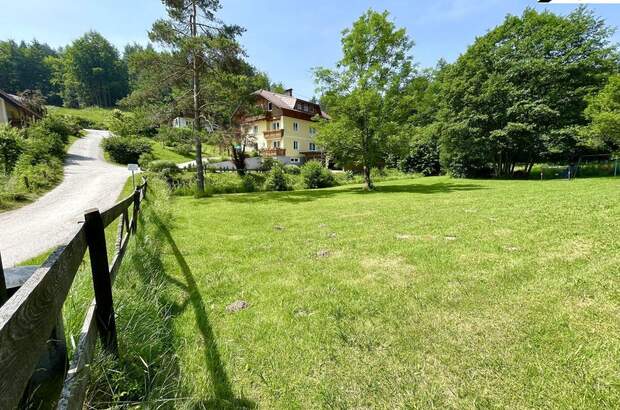 Grundstück kaufen in 9212 Techelsberg (Bild 1)