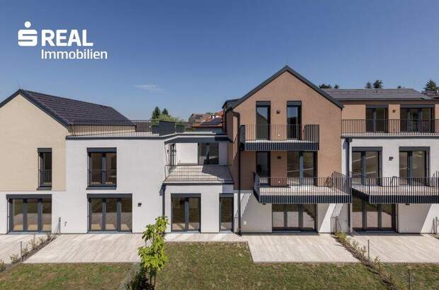 Terrassenwohnung kaufen in 2020 Hollabrunn (Bild 3)