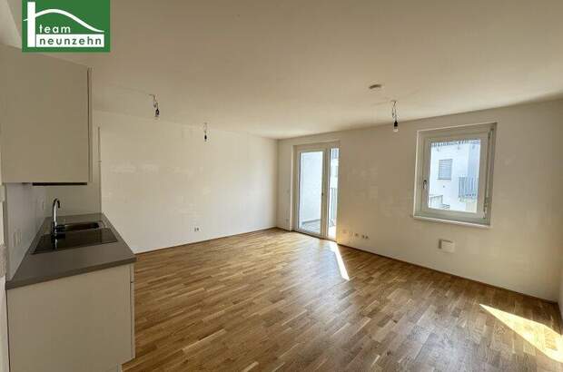 Terrassenwohnung mieten in 1160 Wien (Bild 1)