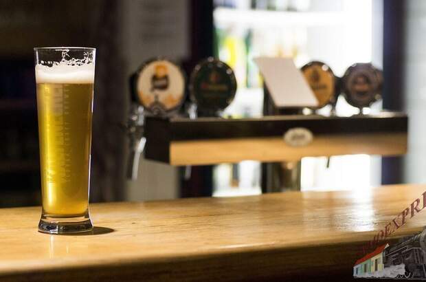 Gastronomie / Restaurant mieten in 1040 Wien (Bild 1)