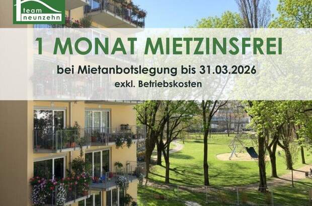 Terrassenwohnung mieten in 8020 Graz (Bild 1)