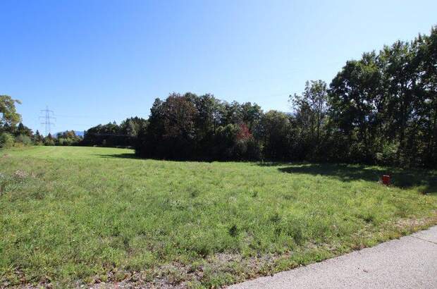 Grundstück kaufen in 9072 Ludmannsdorf (Bild 5)