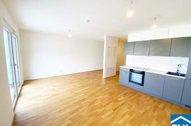 Terrassenwohnung mieten in 1110 Wien (Bild 1)