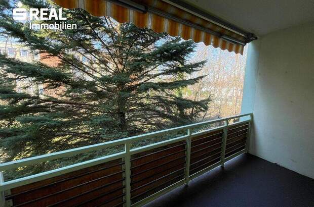 Wohnung mieten in 2344 Maria Enzersdorf (Bild 1)