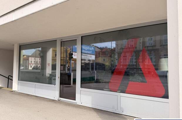 Gewerbeobjekt kaufen in 4600 Wels (Bild 3)