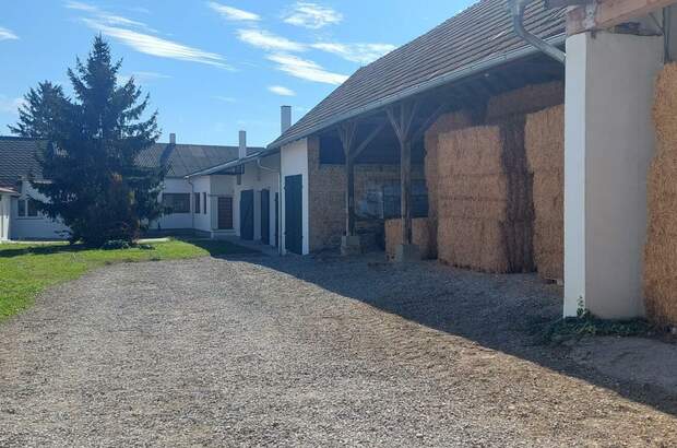 Mehrfamilienhaus kaufen in 2253 Weikendorf (Bild 3)