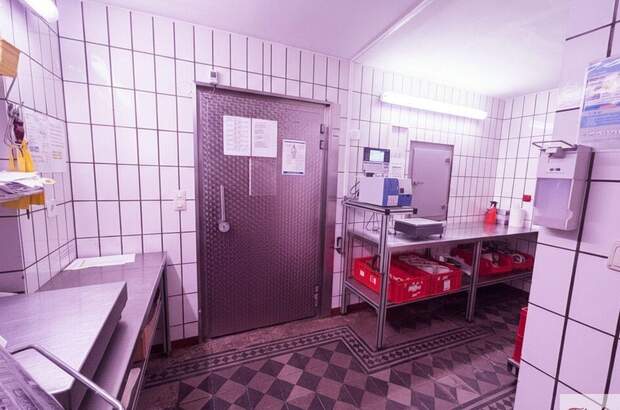 Gewerbeobjekt kaufen in 4650 Lambach (Bild 2)