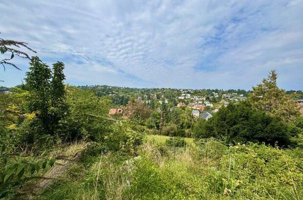 Einfamilienhaus kaufen in 3400 Kierling (Bild 2)