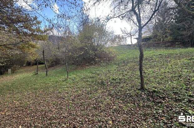 Grundstück kaufen in 9074 Keutschach (Bild 5)