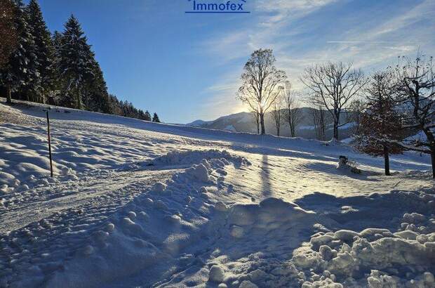 Grundstück kaufen in 6311 Oberau (Bild 1)