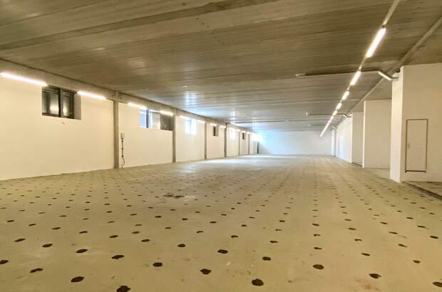 Gewerbeobjekt mieten in 1220 Wien (Bild 3)