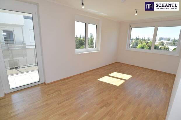 Terrassenwohnung mieten in 2320 Schwechat (Bild 2)