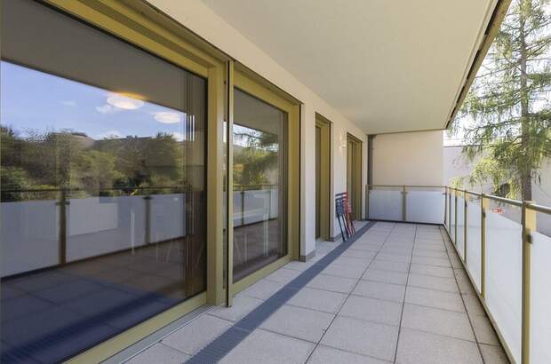 Gewerbeobjekt kaufen in 2344 Maria Enzersdorf (Bild 4)