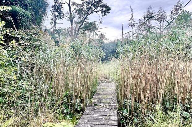 Grundstück kaufen in 2721 Bad Fischau (Bild 3)