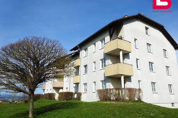 Wohnung mieten in 4261 Rainbach (Bild 3)