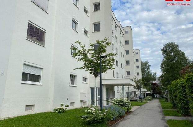 Terrassenwohnung mieten in 4020 Linz (Bild 1)