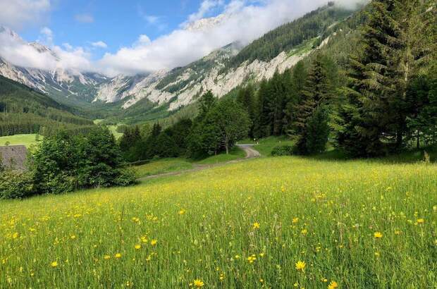 Grundstück kaufen in 8636 Seewiesen (Bild 1)