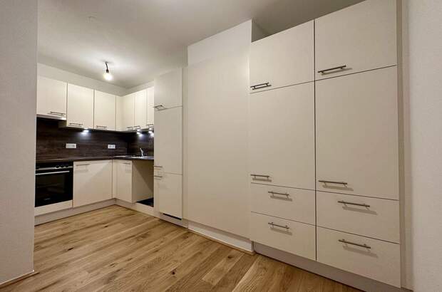 Wohnung mieten in 2542 Kottingbrunn (Bild 3)