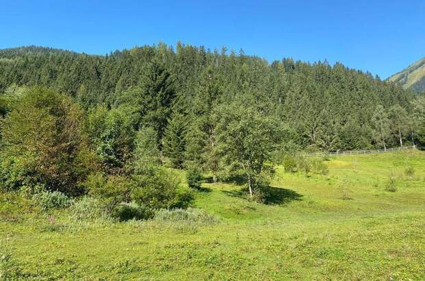 Grundstück kaufen in 8953 Donnersbachwald (Bild 3)