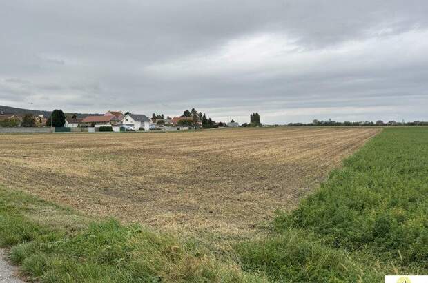 Grundstück kaufen in 2453 Sommerein (Bild 2)
