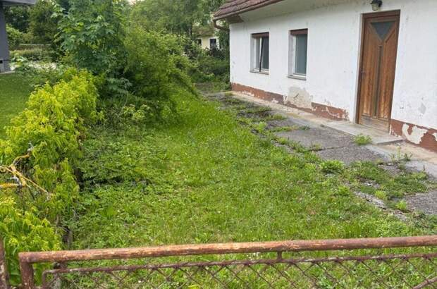 Haus mit Garten kaufen in 4501 Neuhofen (Bild 4)