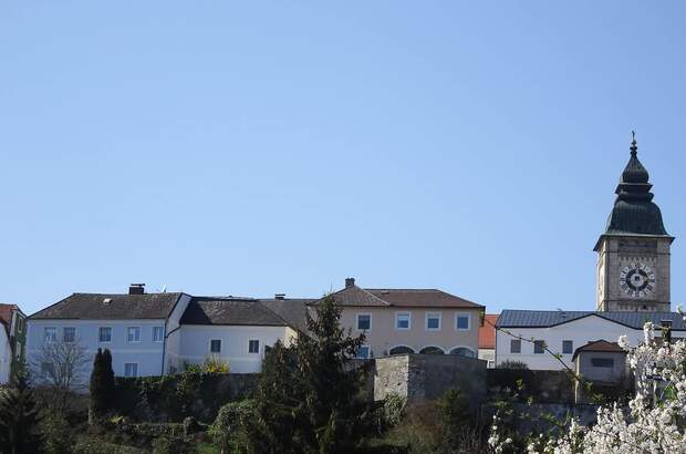 Mehrfamilienhaus kaufen in 4470 Enns (Bild 1)
