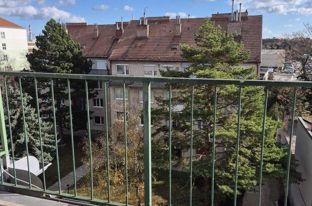 Terrassenwohnung mieten in 2320 Schwechat (Bild 4)