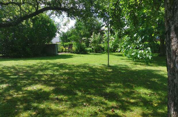 Mietwohnung in 4211 Alberndorf (Bild 2)