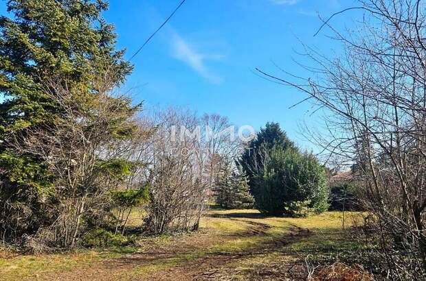 Grundstück kaufen in 2425 Nickelsdorf