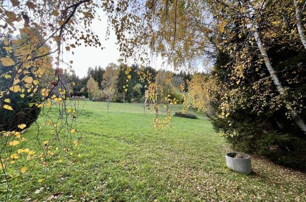 Grundstück kaufen in 8162 Passail (Bild 3)