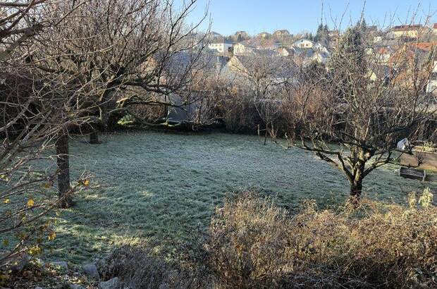 Haus kaufen in 7222 Rohrbach (Bild 4)