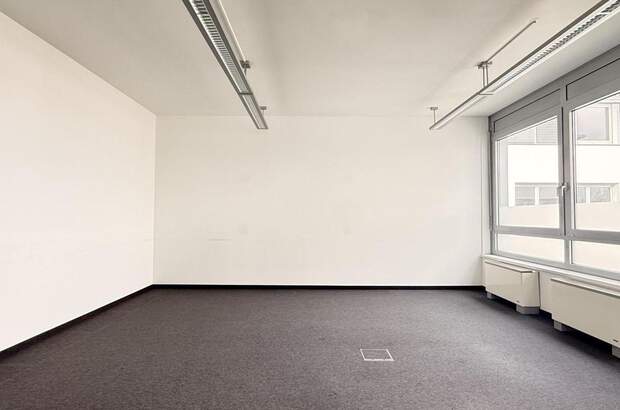 Gewerbeobjekt mieten in 2320 Schwechat (Bild 3)