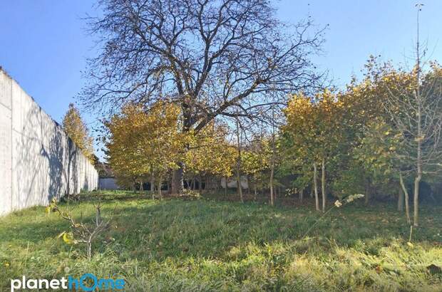 Grundstück kaufen in 2432 Schwadorf (Bild 3)