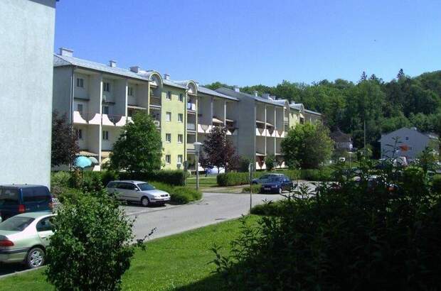 Terrassenwohnung mieten in 4470 Enns (Bild 2)