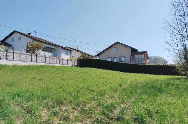 Grundstück kaufen in 4073 Wilhering (Bild 4)