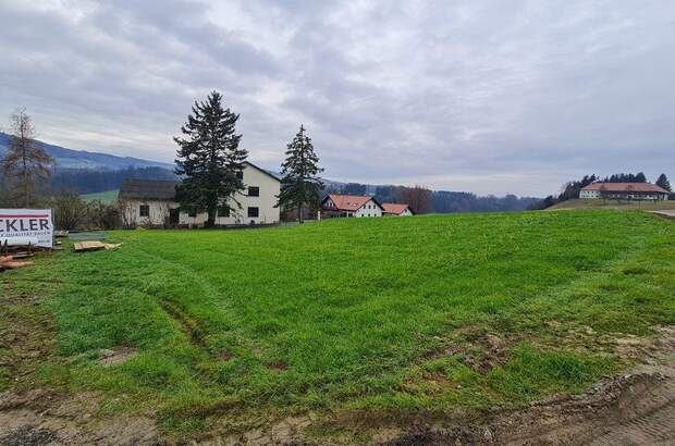 Grundstück kaufen in 4441 Behamberg (Bild 3)