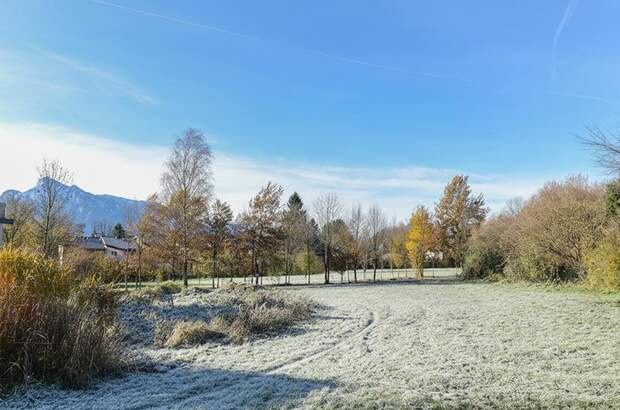 Grundstück kaufen in 5020 Salzburg (Bild 1)