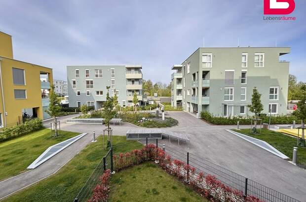 Wohnung mit Balkon kaufen in 4481 Asten (Bild 1)