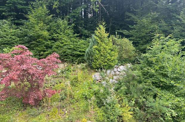 Einfamilienhaus kaufen in 3203 Rabenstein (Bild 4)