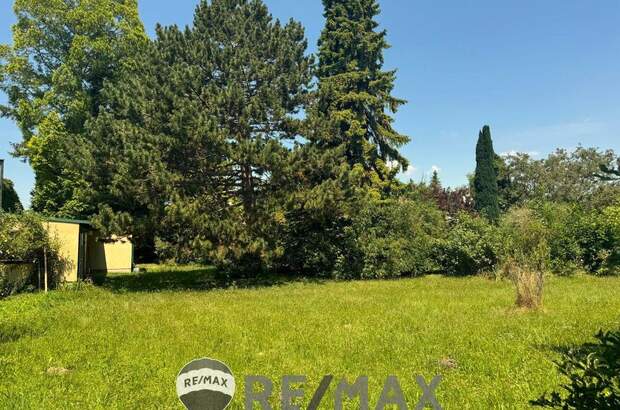 Grundstück kaufen in 2486 Pottendorf (Bild 1)